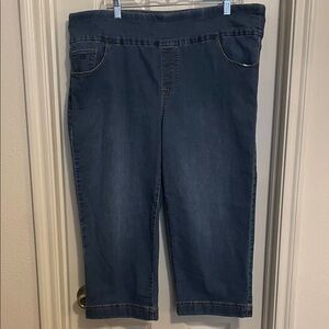 Gloria Vanderbilt 18W Capris